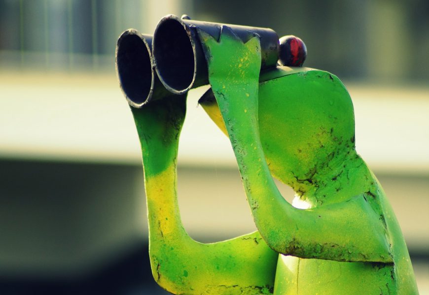 Todos estamos bajo vigilancia