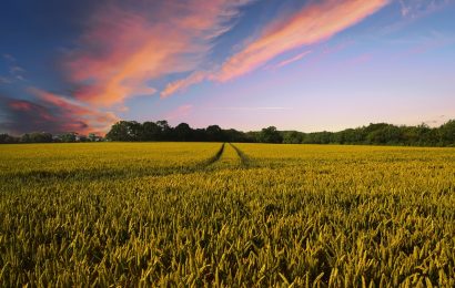 Galeno Seguros incursiona en los seguros agrícolas