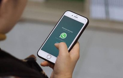 Provincia Seguros: nuevo WhatsApp