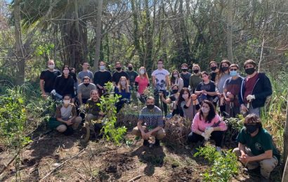 Empleados de Allianz plantaron 100 árboles nativos en la Reserva Ecológica