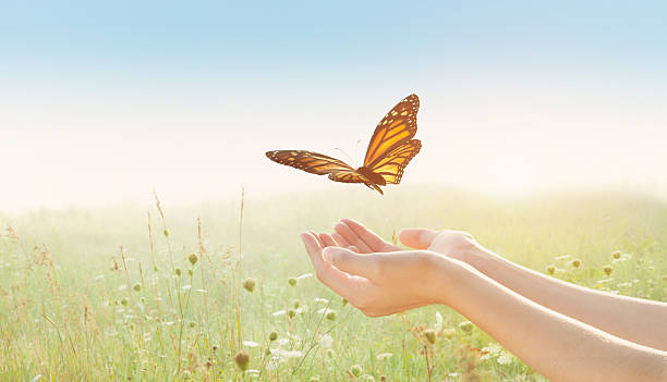 No tiene el poder el que está arriba, sino el que está siempre