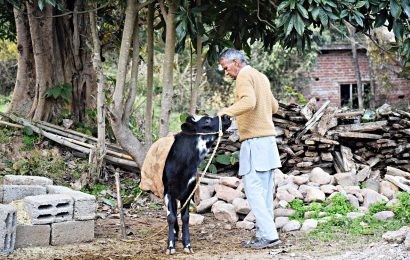 El Banco Mundial ayudará a los agricultores centroamericanos con los seguros