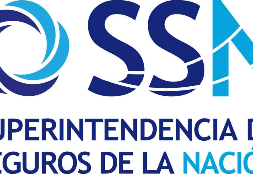 SSN: servicio de los sistemas informáticos del organismo