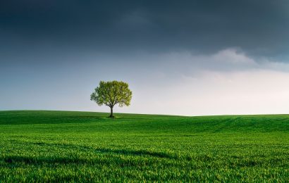 Día Mundial del Medio Ambiente: Seguros SURA y su compromiso sustentable