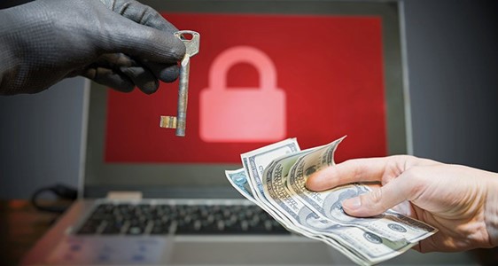 Solo un 36% de las empresas ciberatacadas recupera exitosamente sus datos