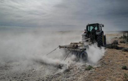 España: el campo registró un récord de nuevas pólizas de seguro por la sequía