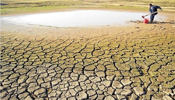 Latam: seguros agrícolas alcanzan máximos históricos por fenómenos climáticos