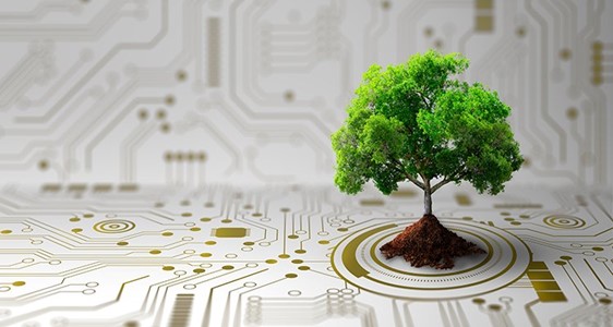 Beneficios de los ecosistemas digitales en el sector asegurador