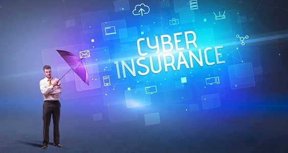 Cinco reaseguradoras concentran el 62% del mercado ciber