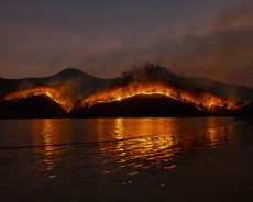 Latam: Baja del Índice de Siniestralidad Bruta en mercado de seguros de Incendio y Terremoto