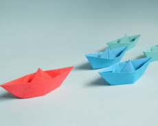 Progressive Management