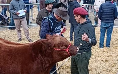 El seguro ganadero en La Rural