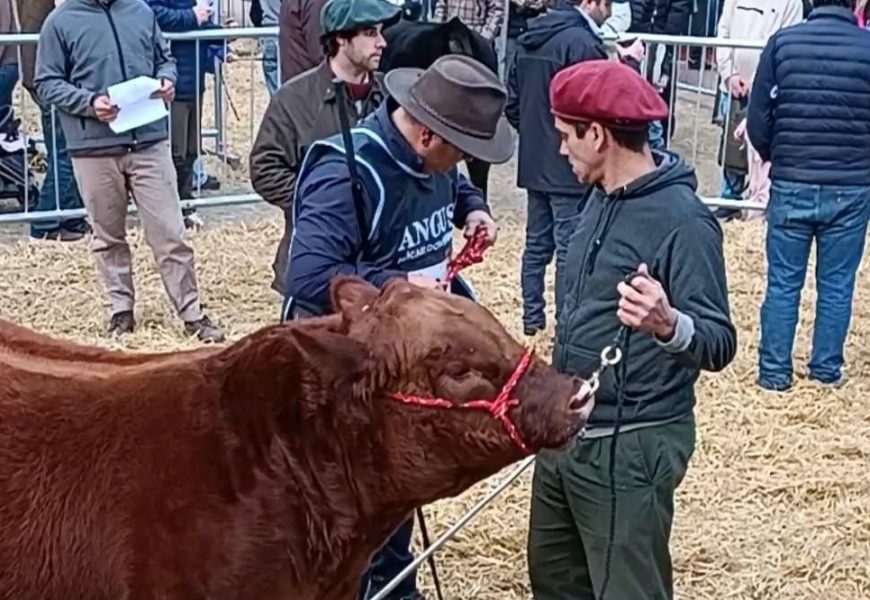 El seguro ganadero en La Rural