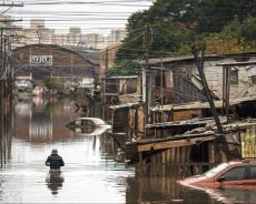 Latam: el seguro emerge como herramienta esencial ante las catástrofes