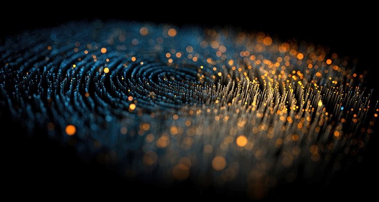 La huella digital gana peso en la evaluación del riesgo ciber